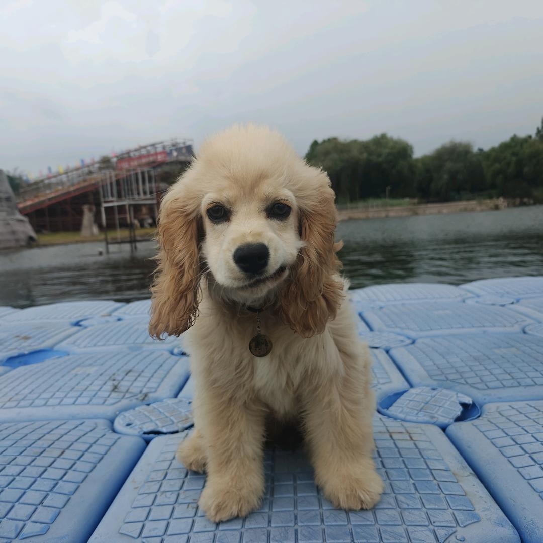 🌈广饶金水湾路亚基地