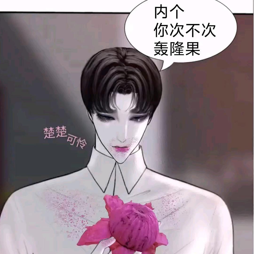 喵来喵去.