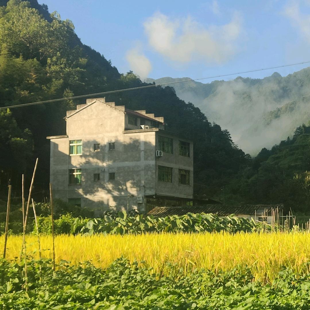 用户豪豪