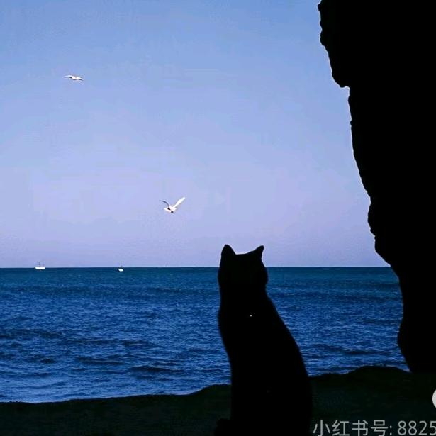 风轻