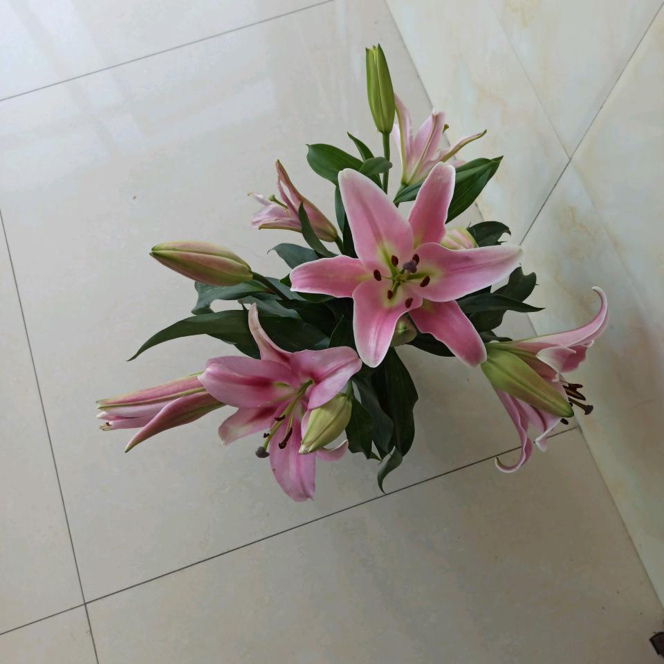 刘廷华