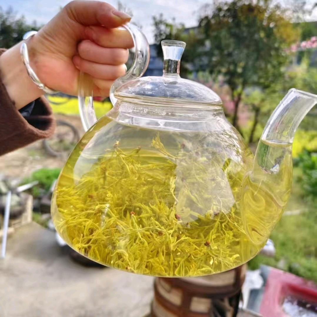 康康
