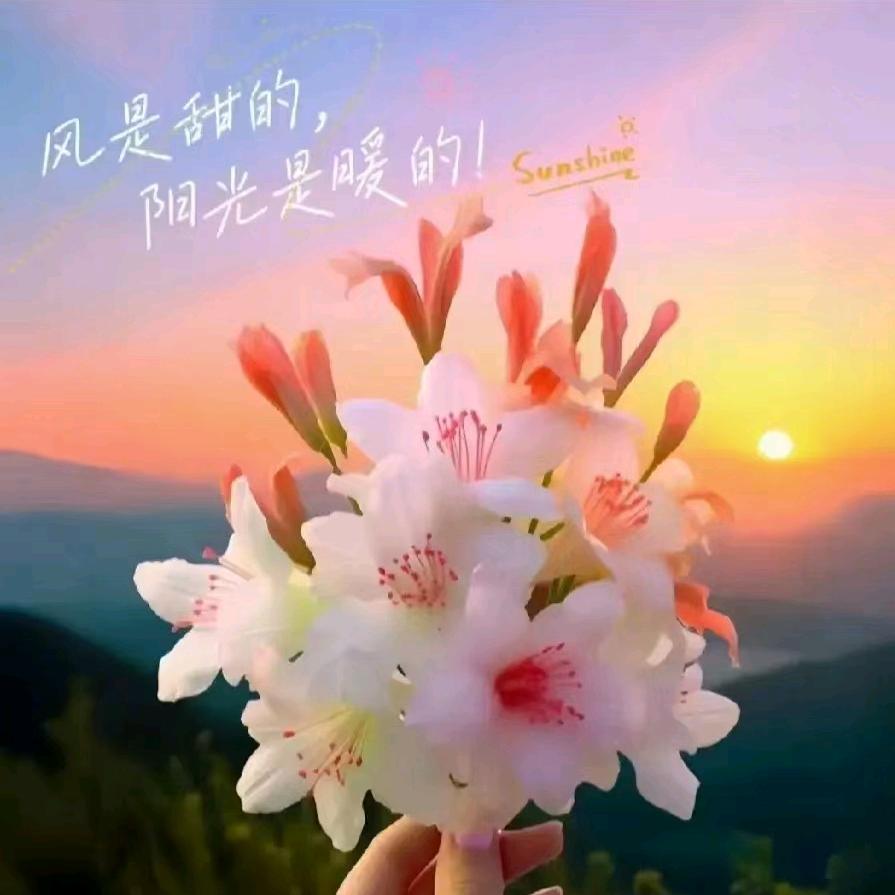 如皋花园诚信鞋业