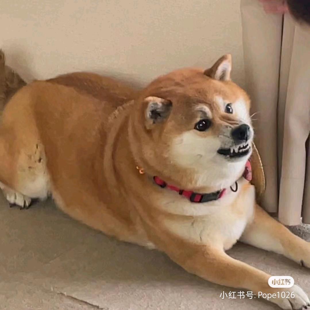 一枝簪不住