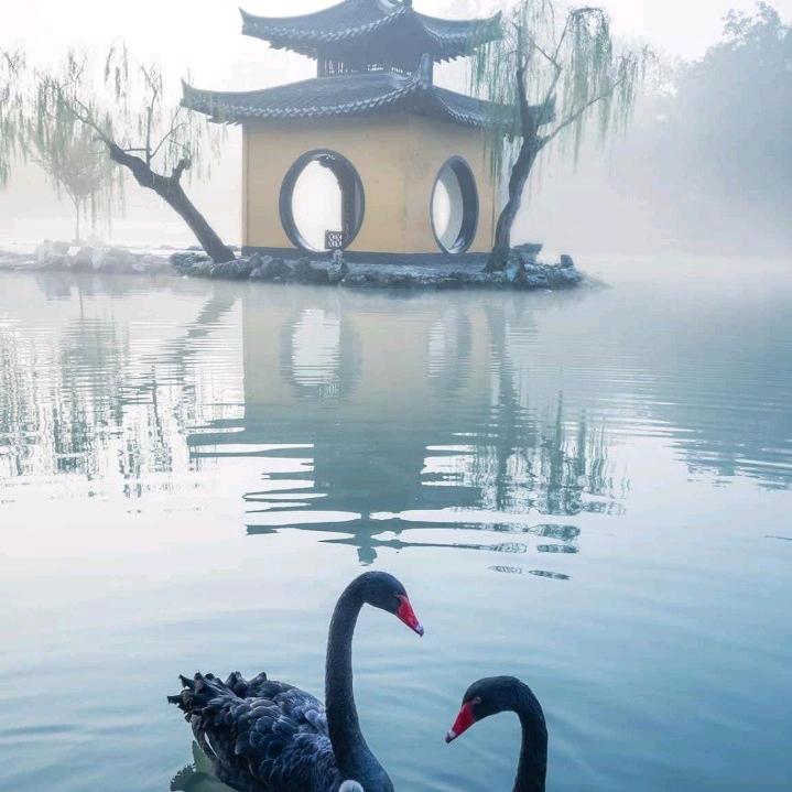 生活味精