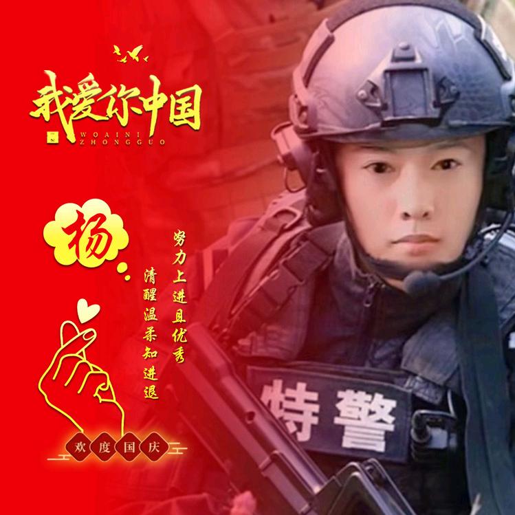 北漂的单身哥single dog