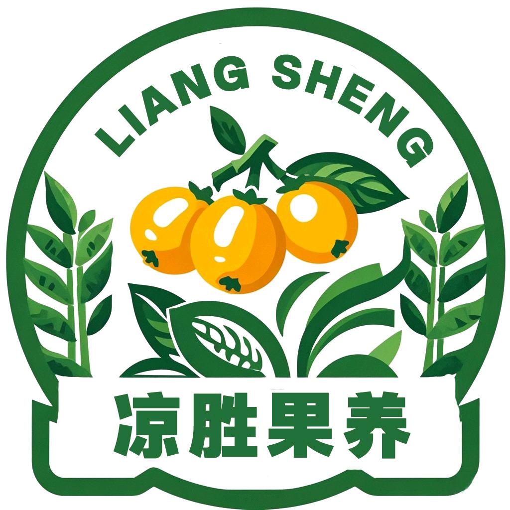 jinyangxingqiu_