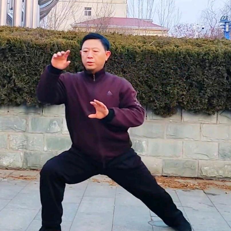 太极内家拳