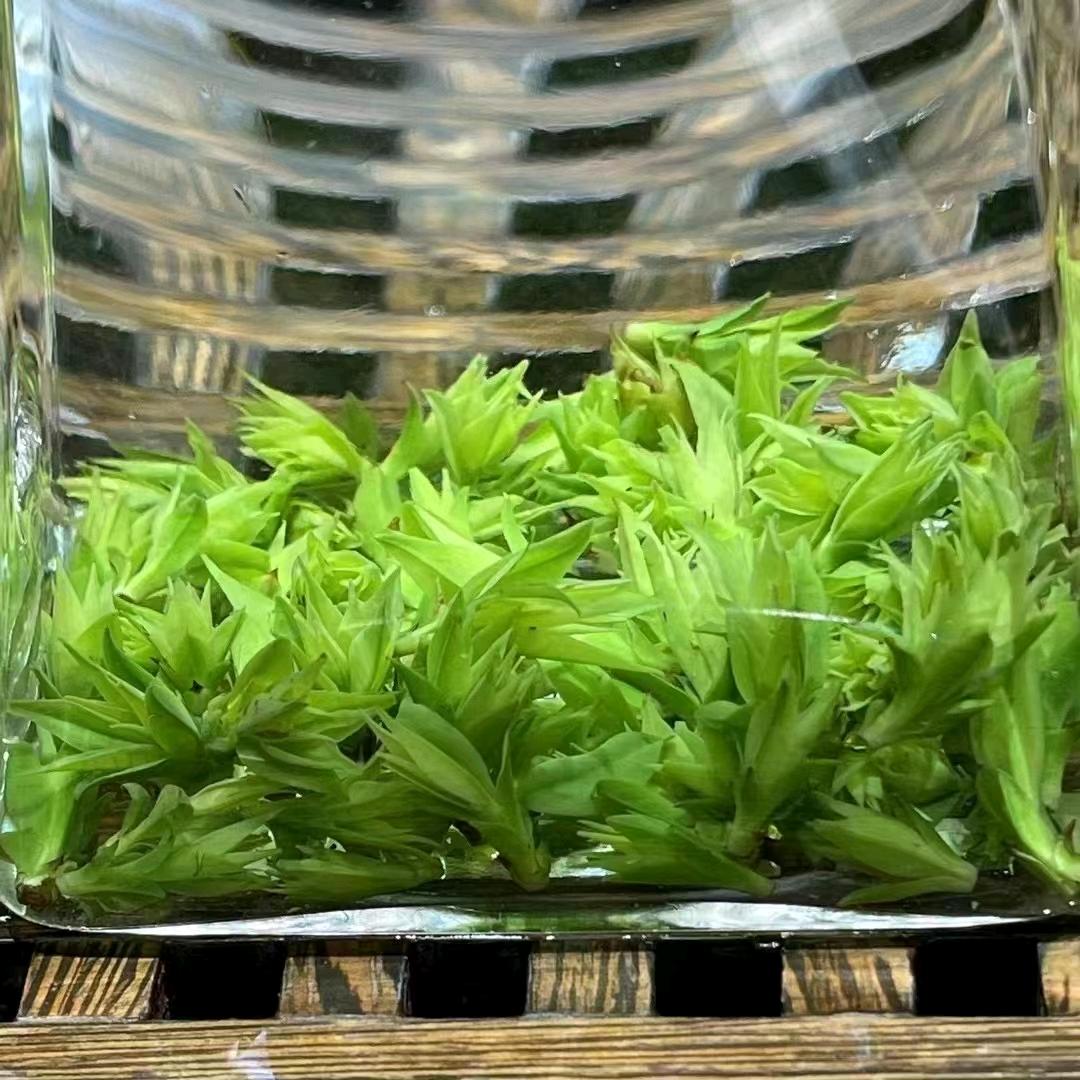 厚德载福