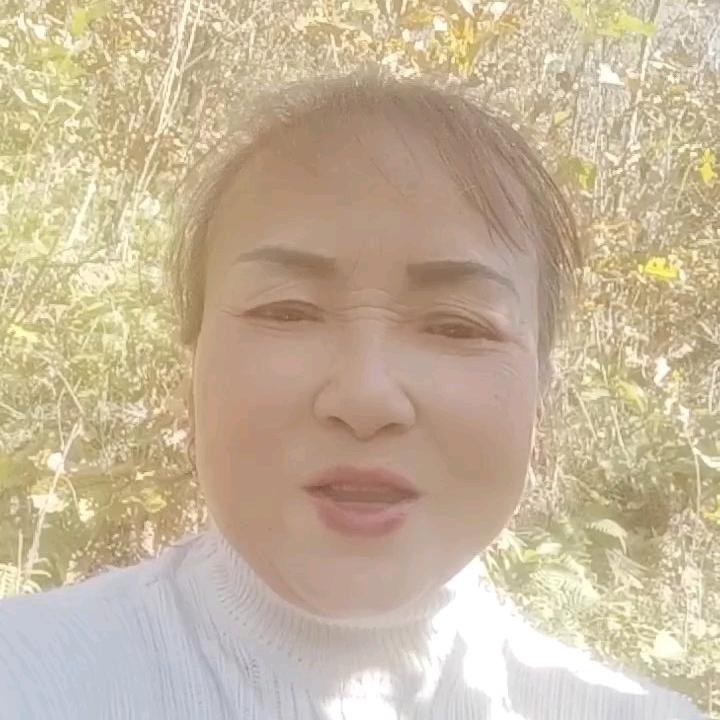 月月红
