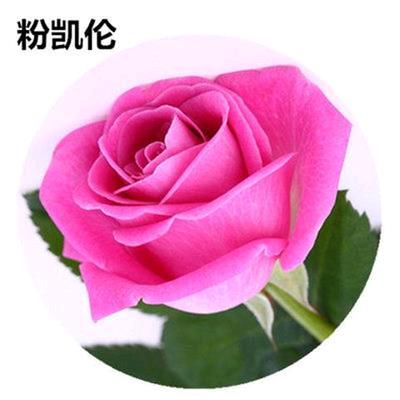 淡沫
