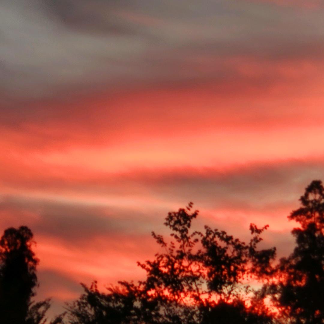 @🍀平安喜乐^0^