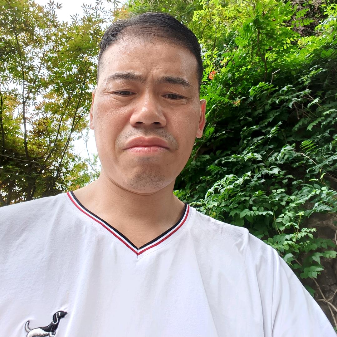 一往情深2025财源滚滚来