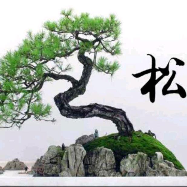 涛声一旧
