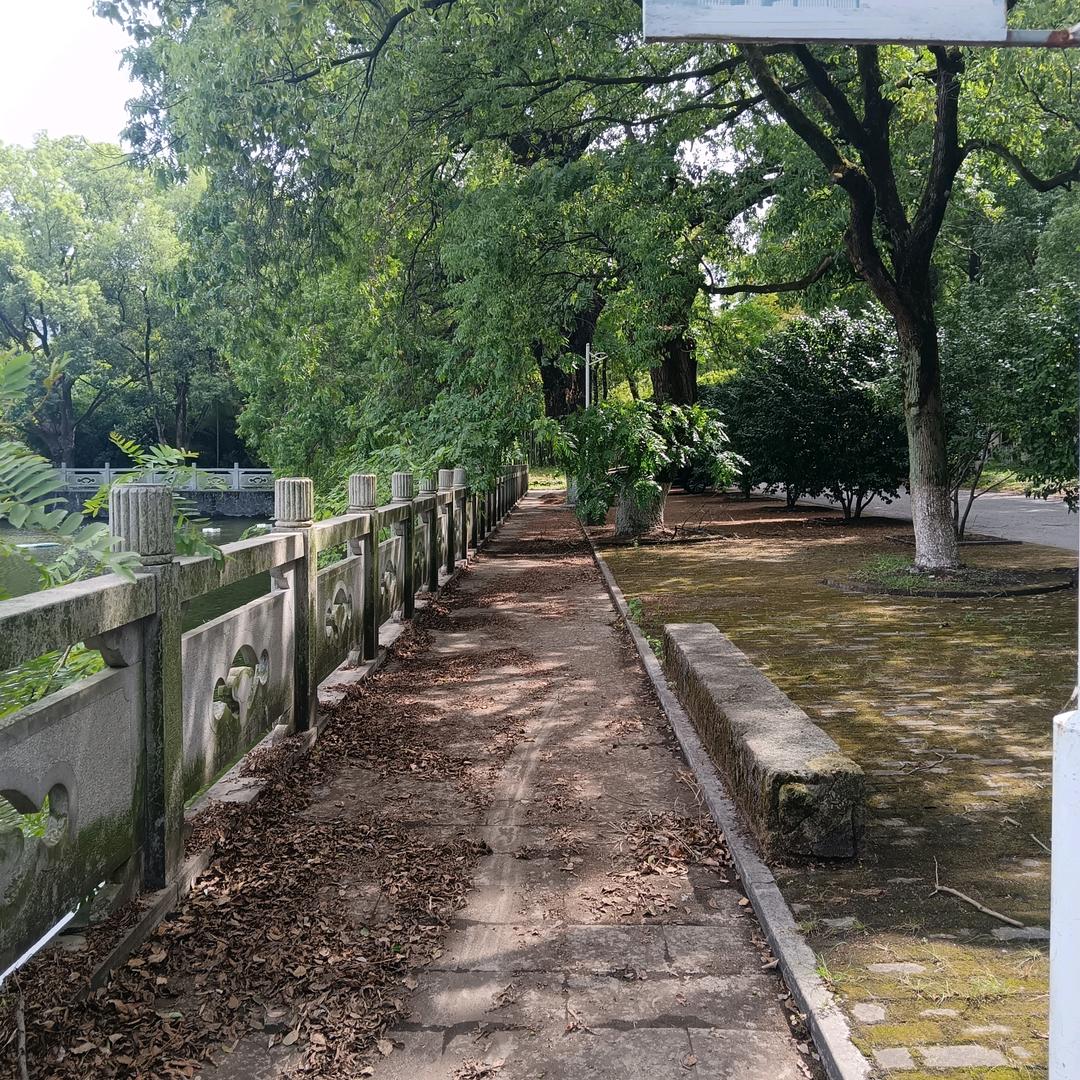 老蔡爱健身（谢绝连赞）