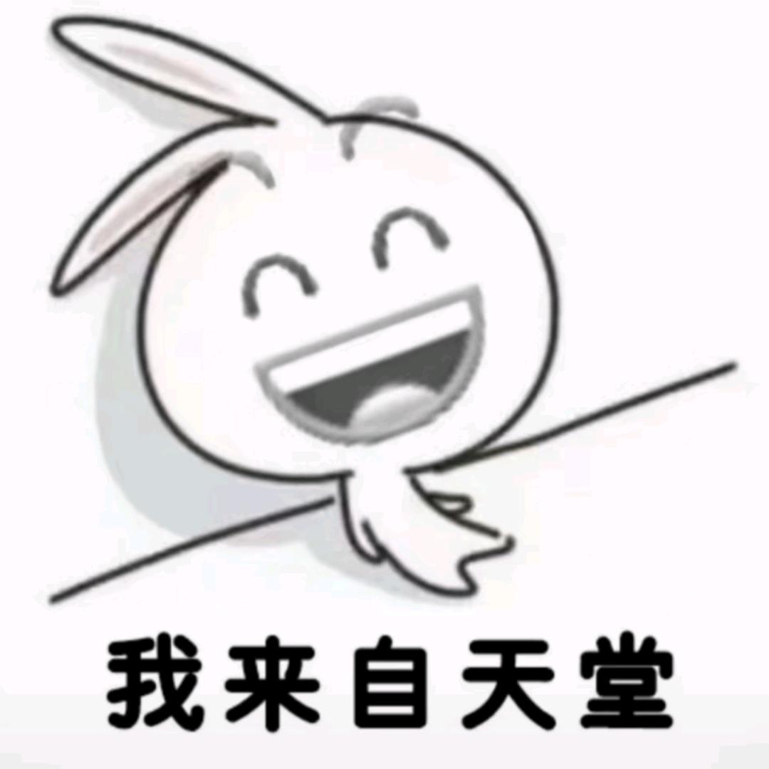 朵朵