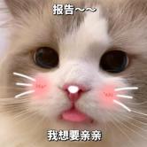 大奶牛