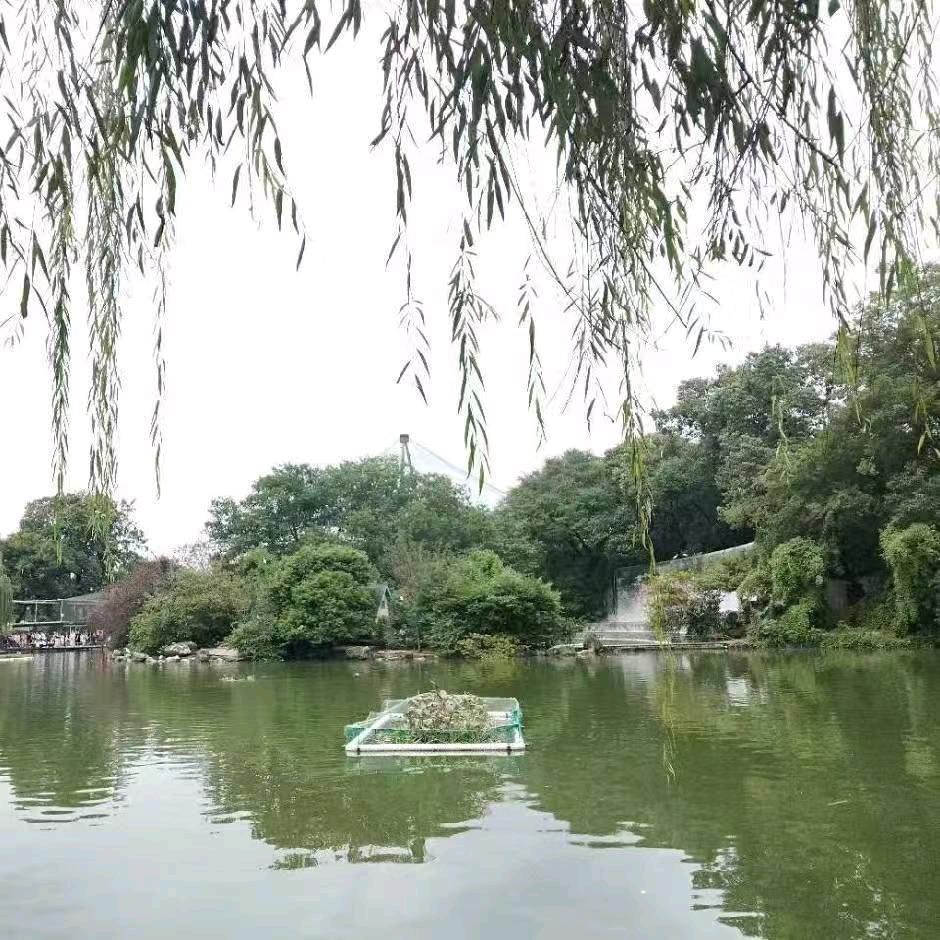 风轻云淡