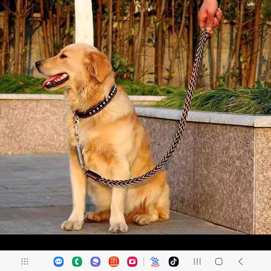 我的烟火人间