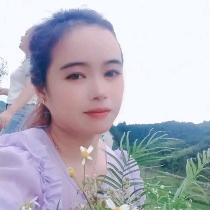 小飞鹅