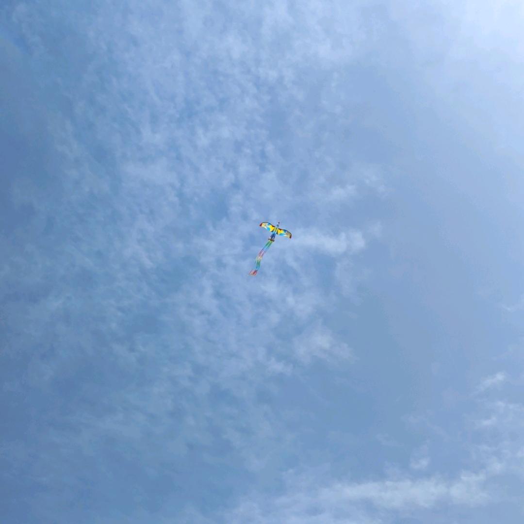 (⁎⁍̴̛͂▿⁍̴̛͂⁎)*✲ﾟ*