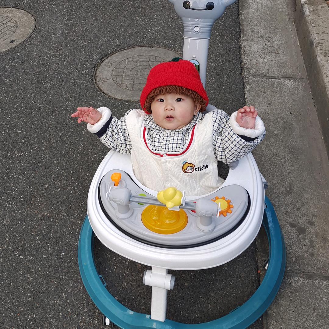 仔仔日记