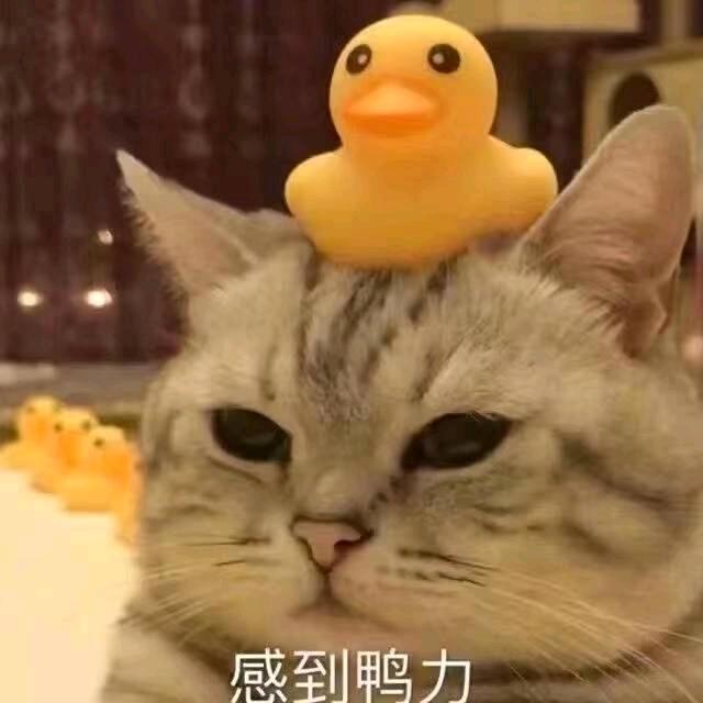 痰盂痨牲