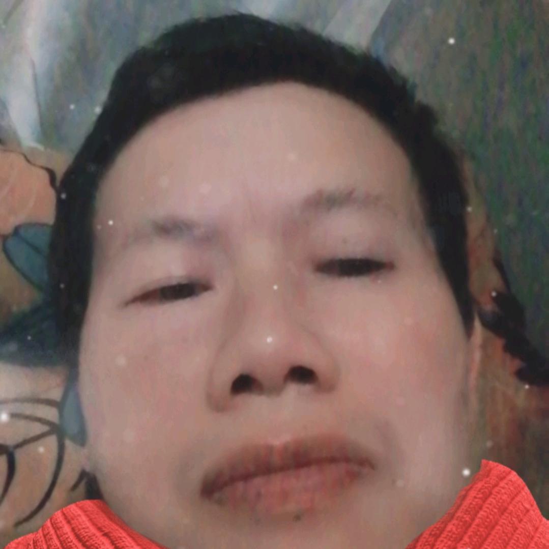 龙