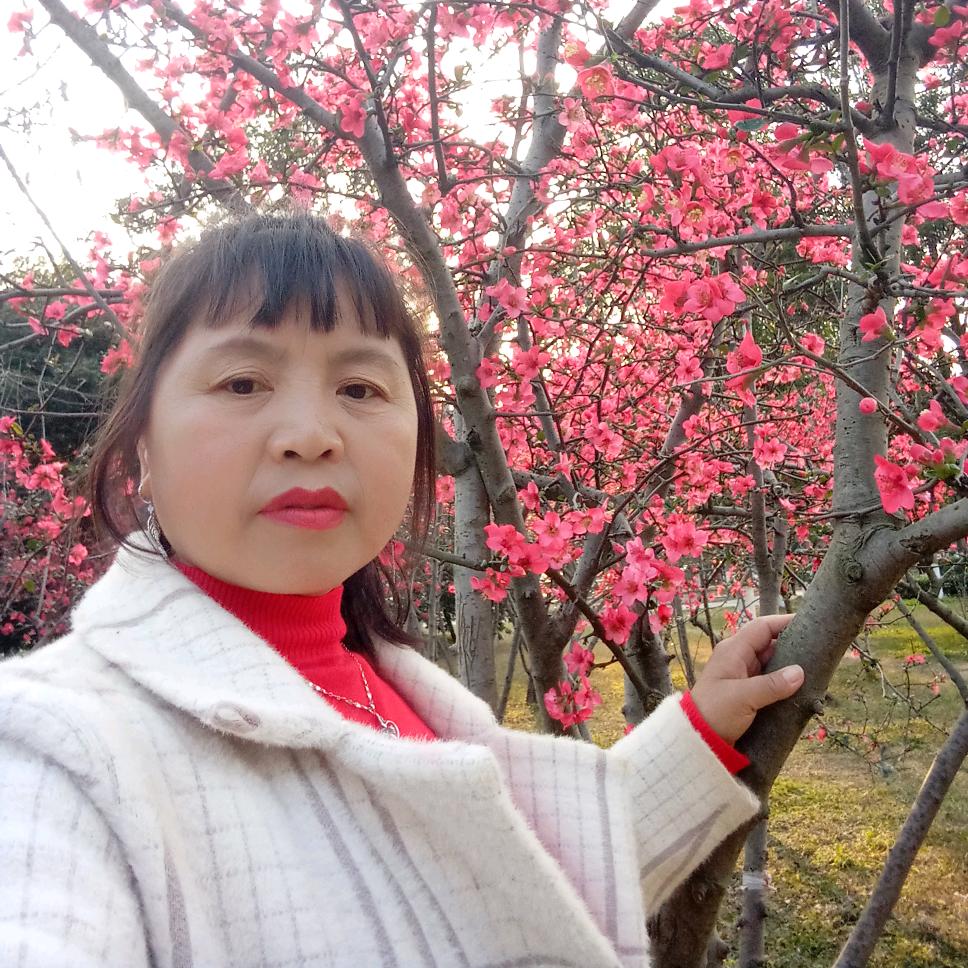 乐山商铺—李姐