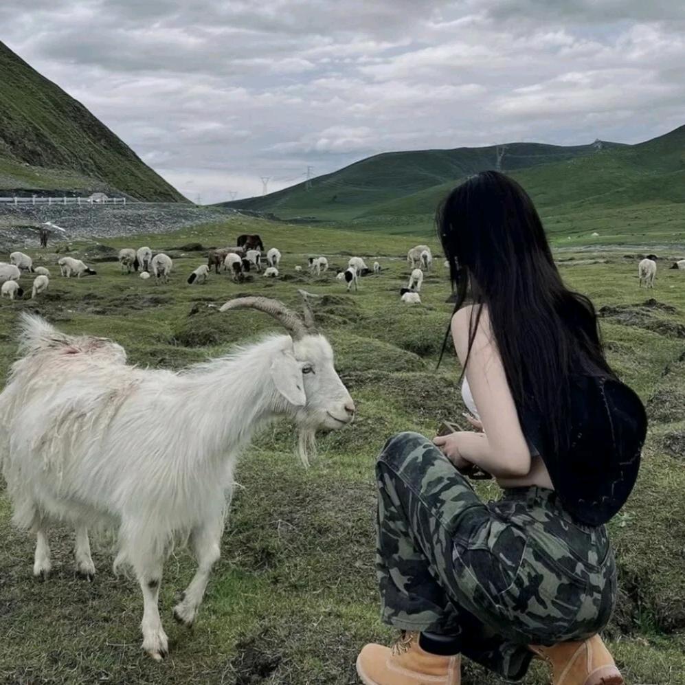 哇～X🌷M
