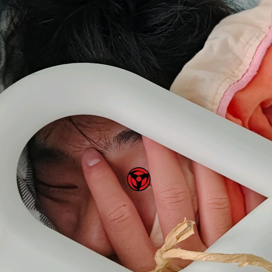 红豆很红