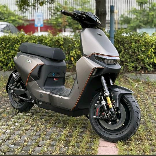 糯米雞（倒下版）