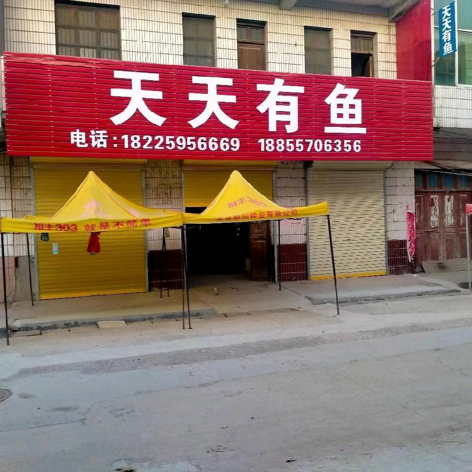大店天天有鱼