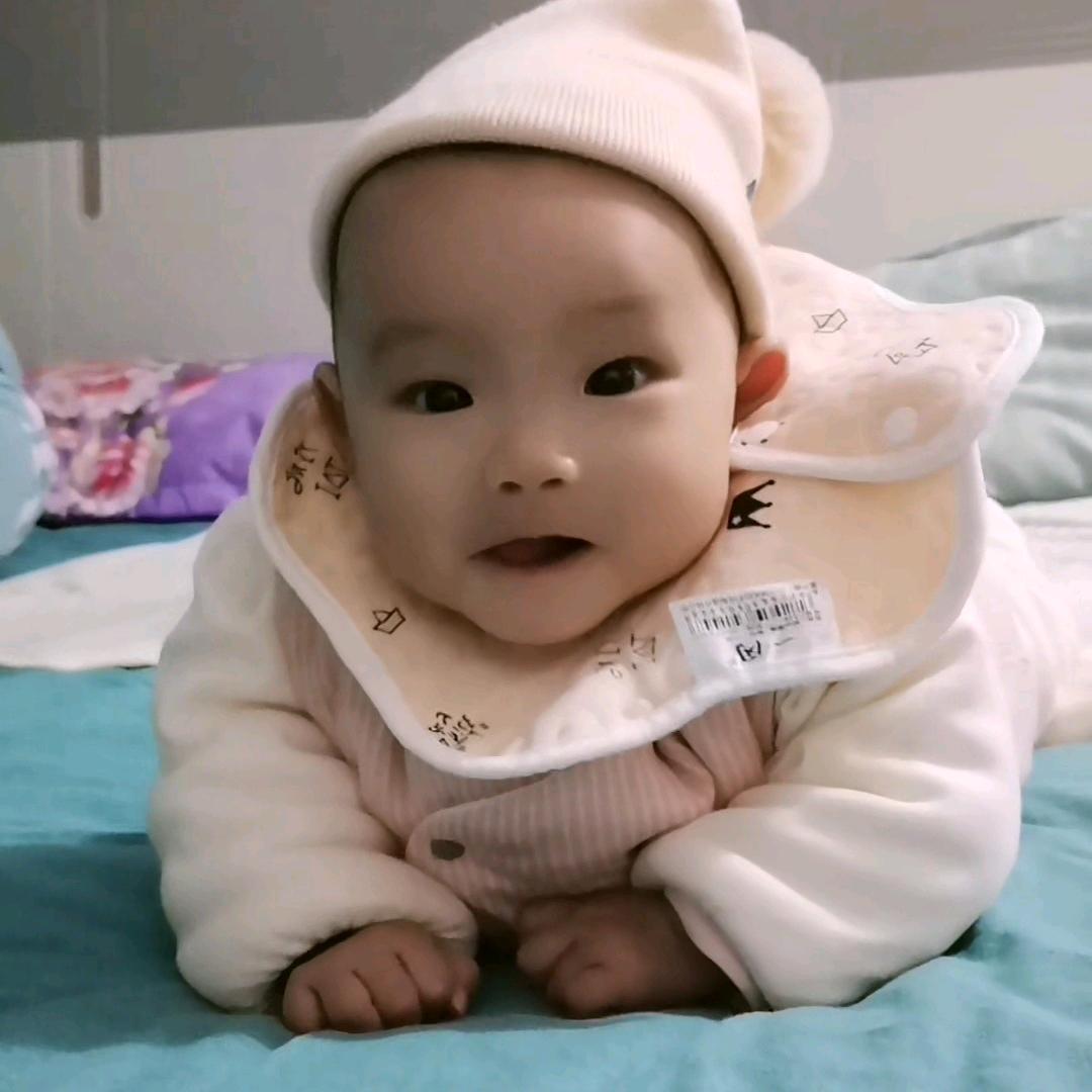 歆崽宝宝