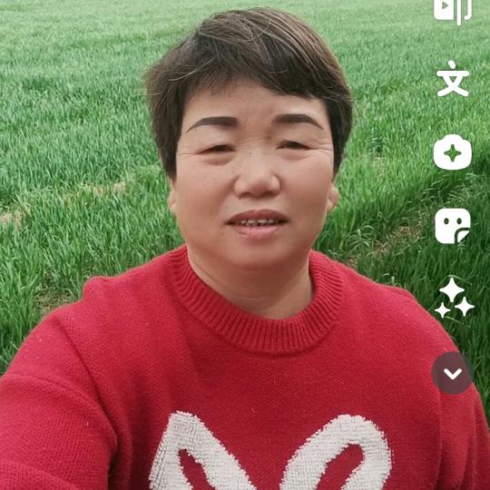 宝奶奶中午11:30