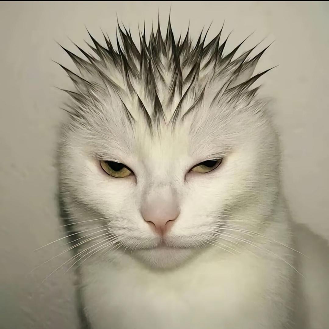 贪吃的碳基生物