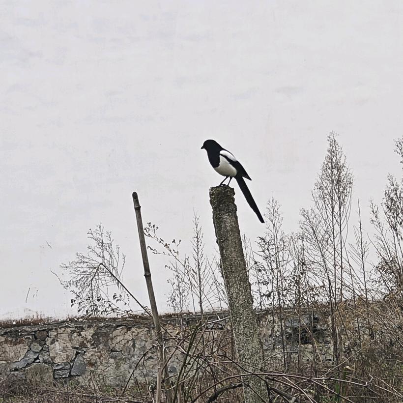 随便取个昵称就好了