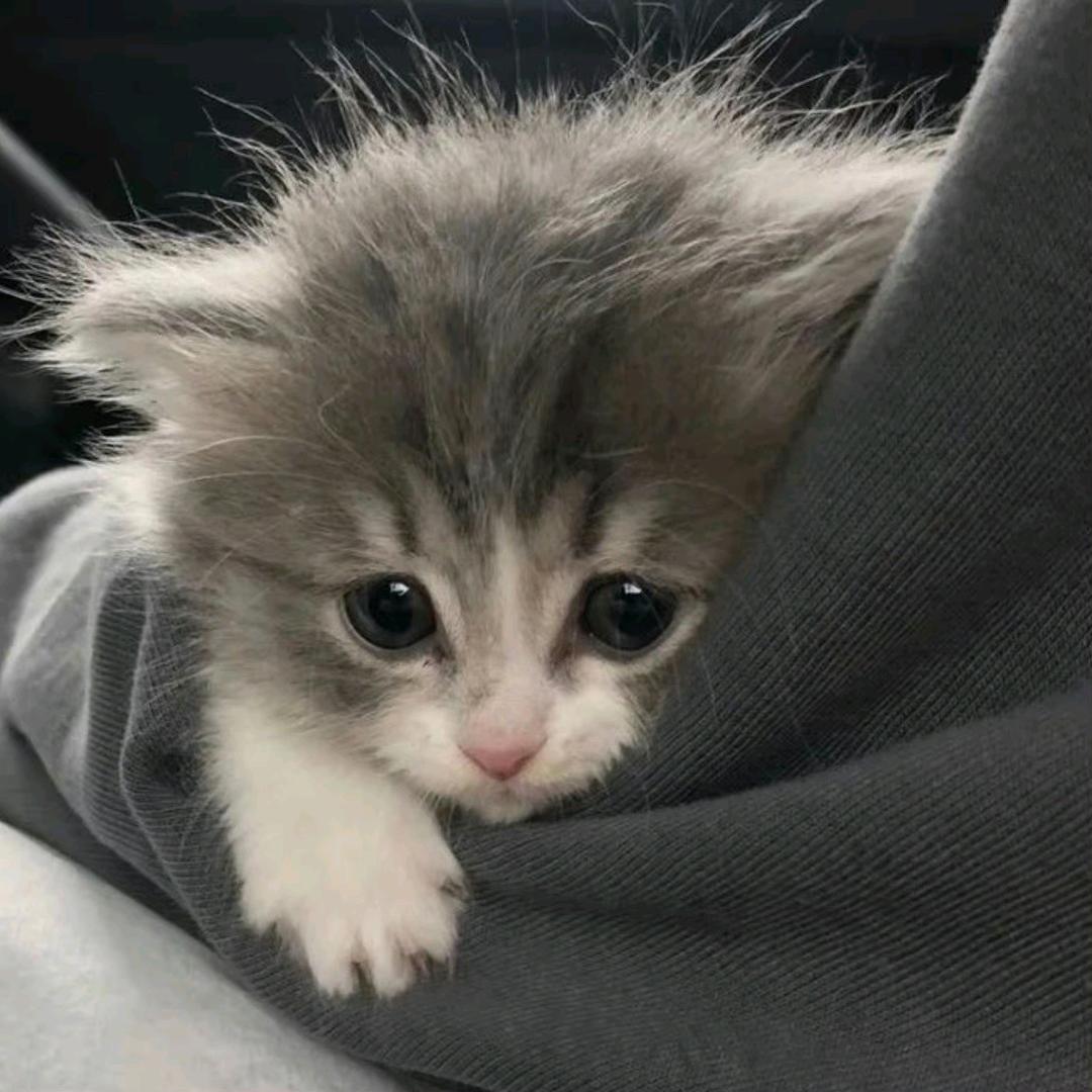 索性