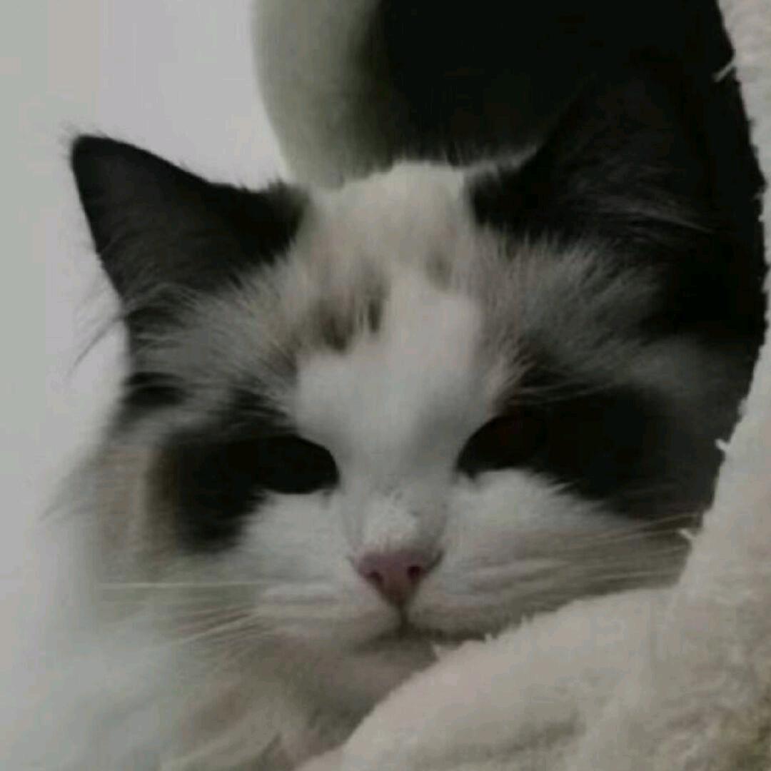 несчастье