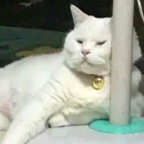 老黄带你看世界