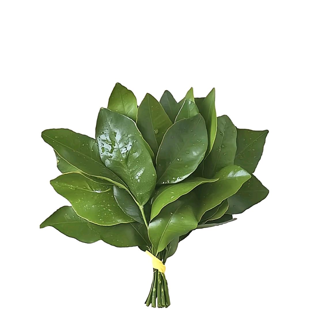 小成
