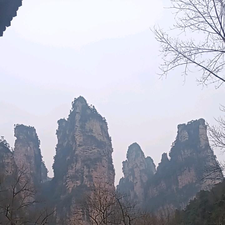 家，我爱你