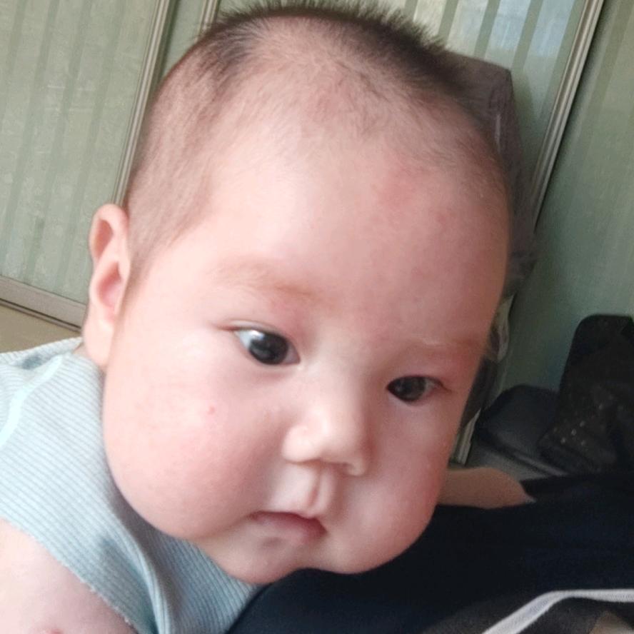 努力的龙宝