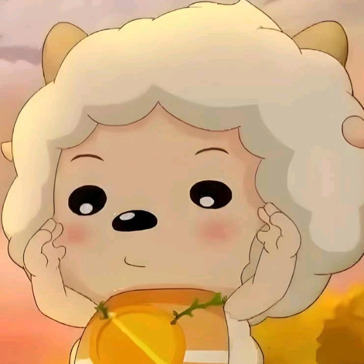 以编程为主业的Sheep