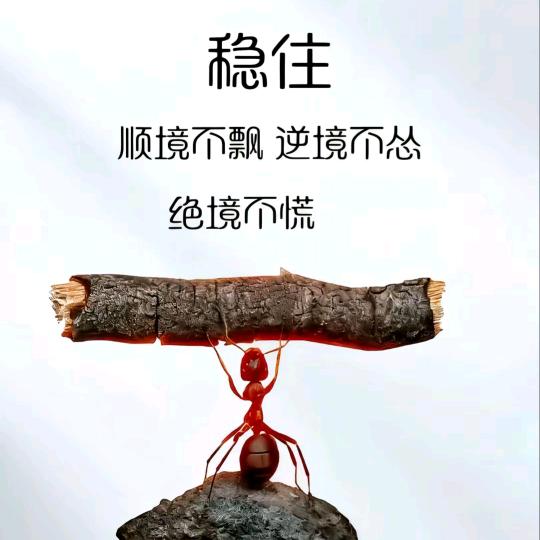 知惜