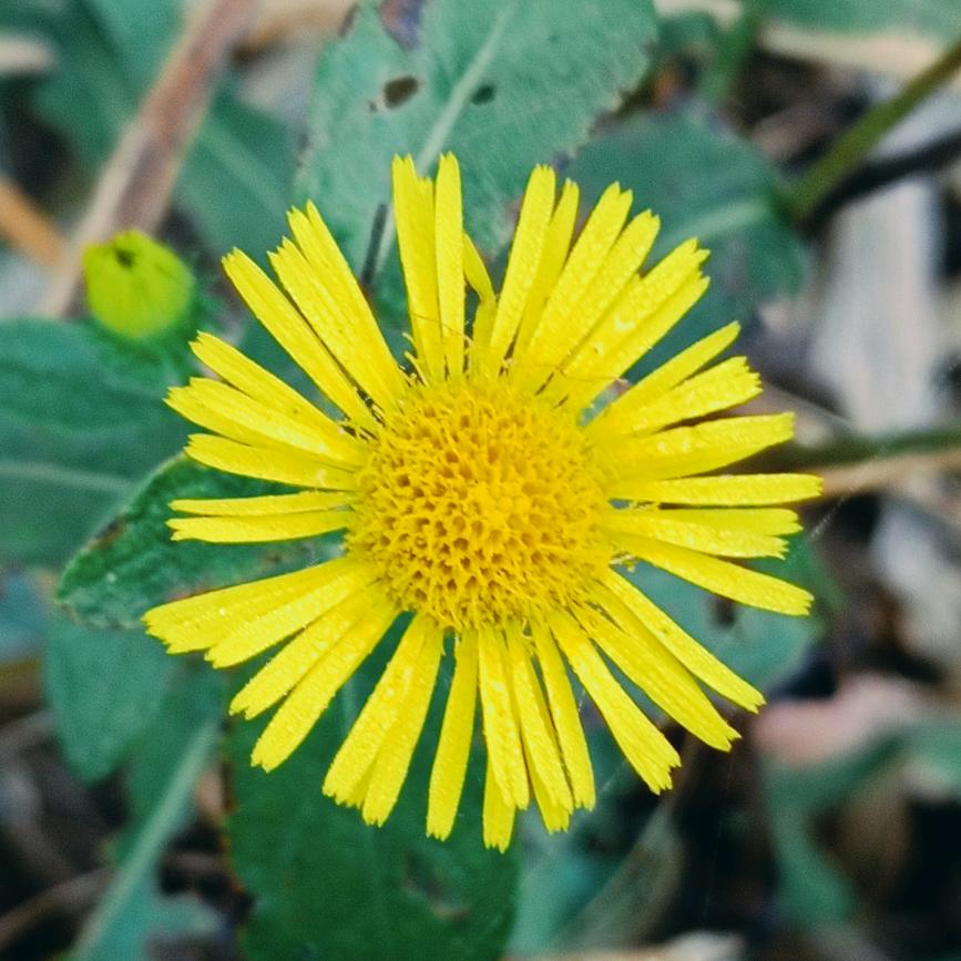 又又又又……………