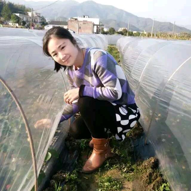 暖心的小阿姨