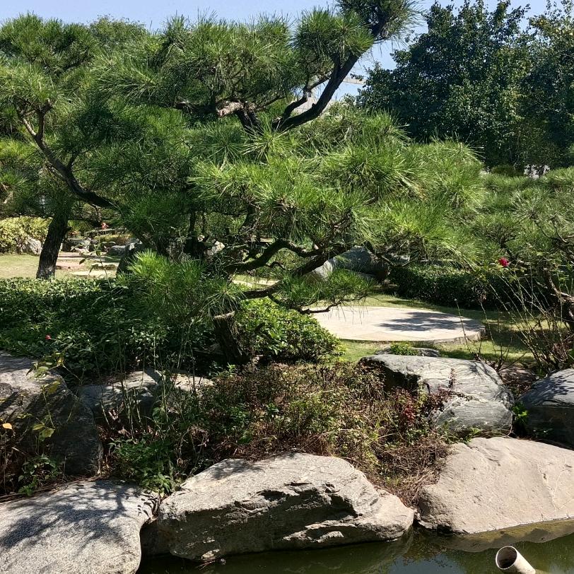 🌿人生……🌿
