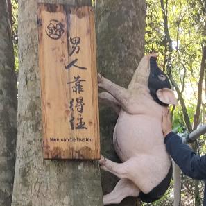 嘉嘉食出前一丁