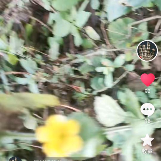 何家山草药奇门遁甲